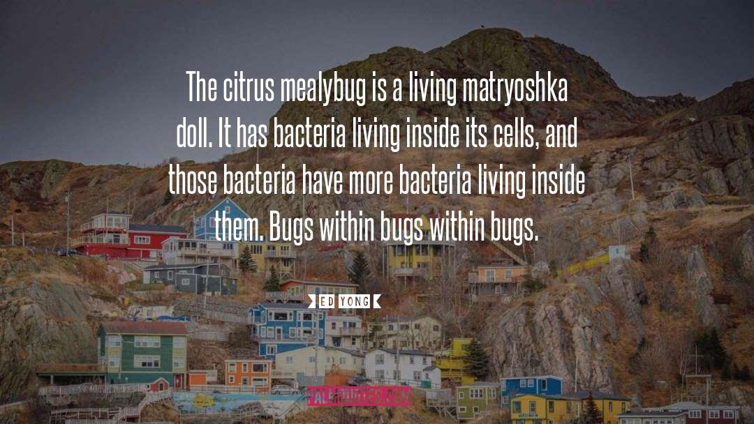 Ed Yong Quotes: The citrus mealybug is a