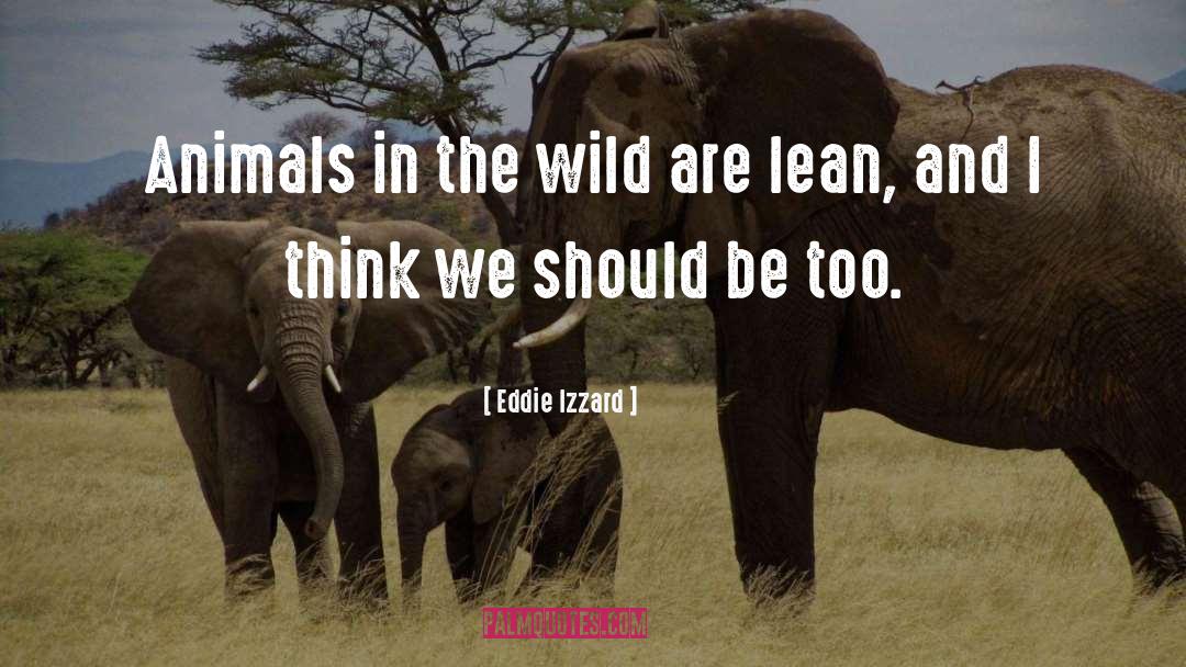 Eddie Izzard Quotes: Animals in the wild are