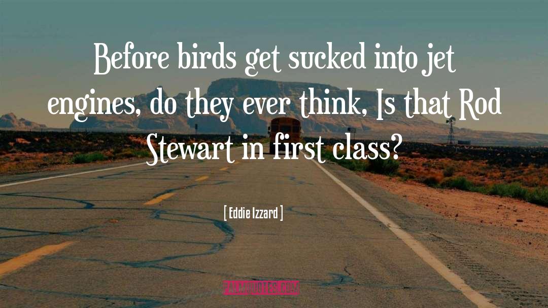 Eddie Izzard Quotes: Before birds get sucked into