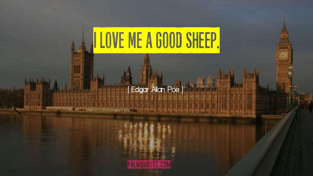 Edgar Allan Poe Quotes: I love me a good