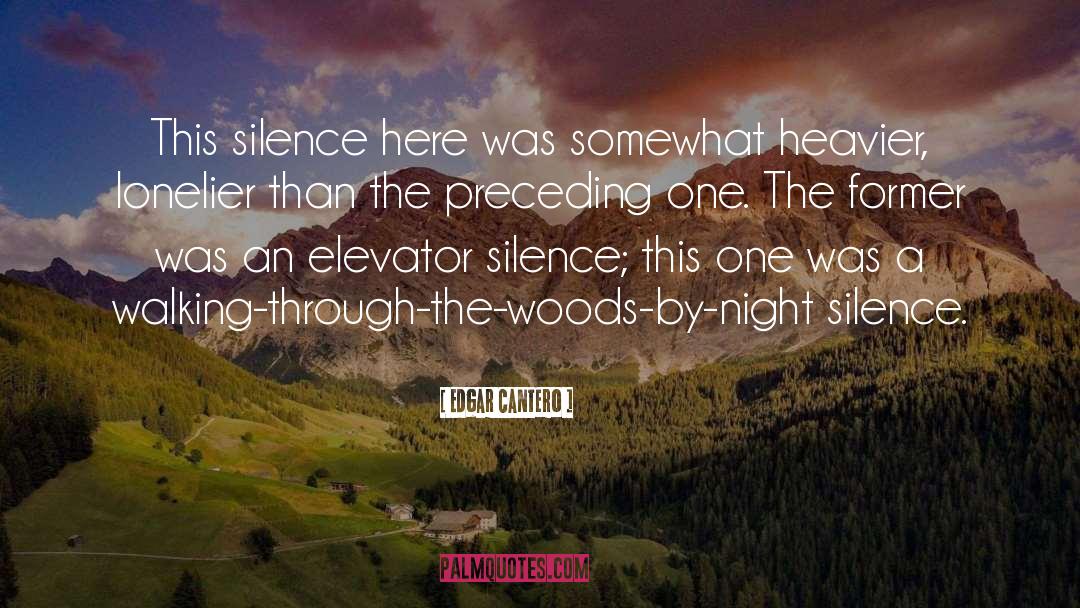 Edgar Cantero Quotes: This silence here was somewhat