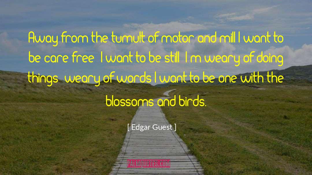 Edgar Guest Quotes: Away from the tumult of