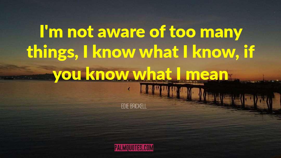 Edie Brickell Quotes: I'm not aware of too