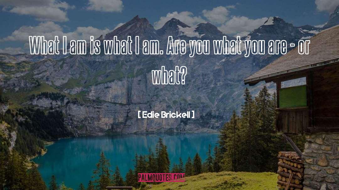Edie Brickell Quotes: What I am is what