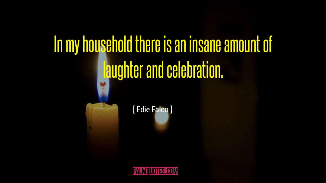 Edie Falco Quotes: In my household there is