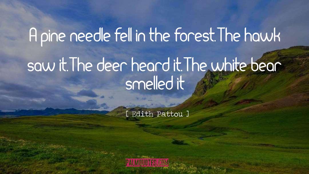 Edith Pattou Quotes: A pine needle fell in