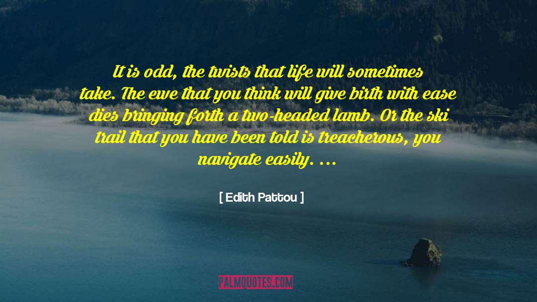 Edith Pattou Quotes: It is odd, the twists