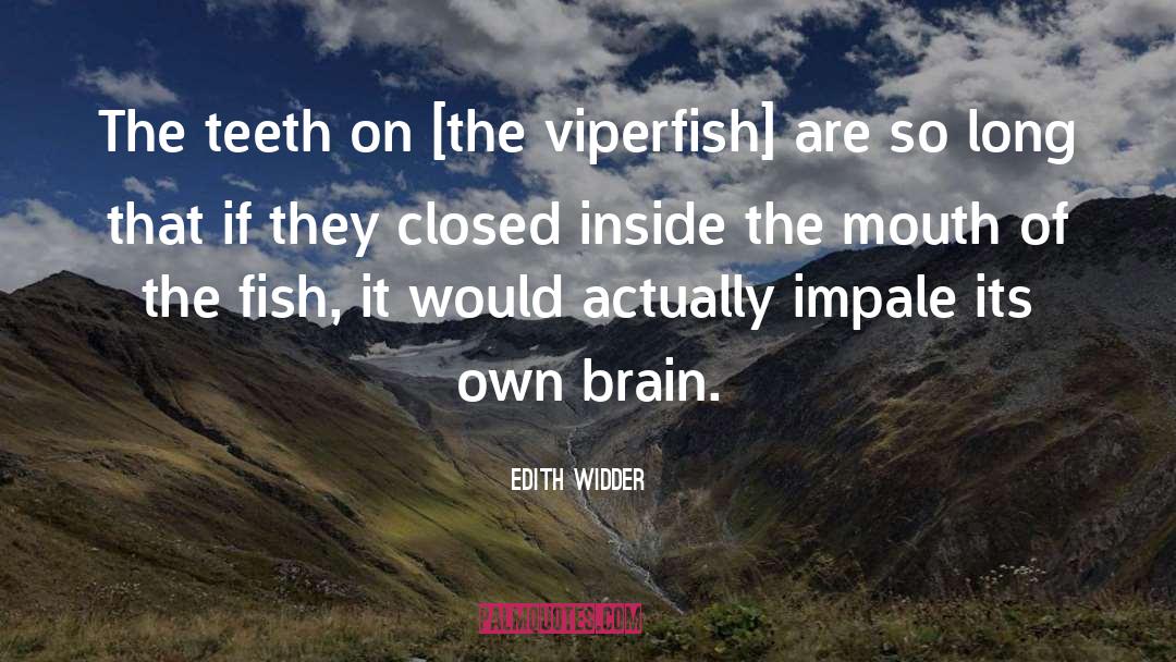 Edith Widder Quotes: The teeth on [the viperfish]