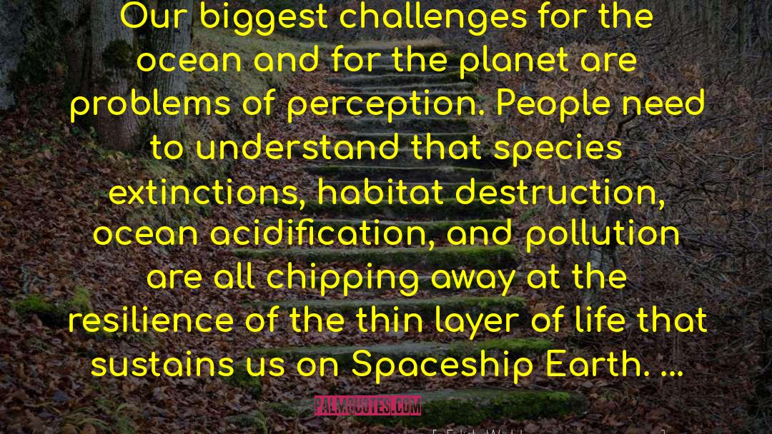 Edith Widder Quotes: Our biggest challenges for the