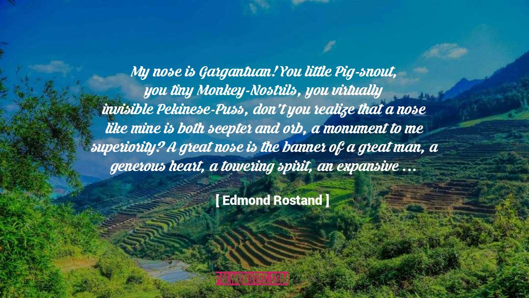 Edmond Rostand Quotes: My nose is Gargantuan! You