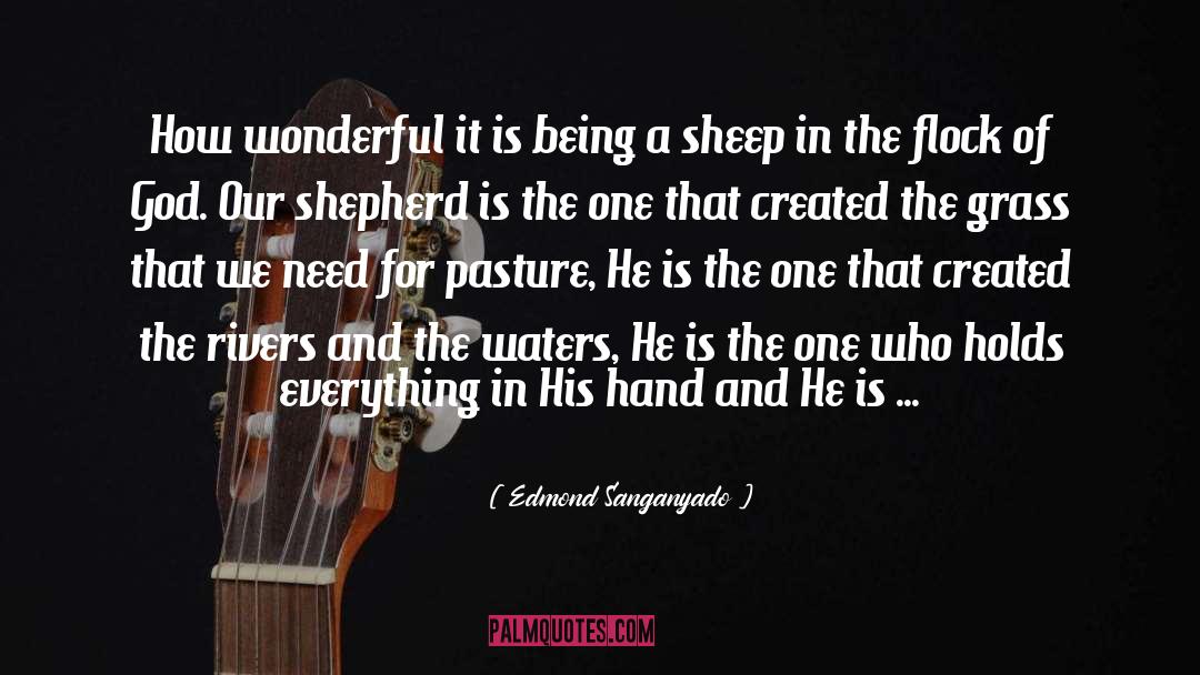 Edmond Sanganyado Quotes: How wonderful it is being