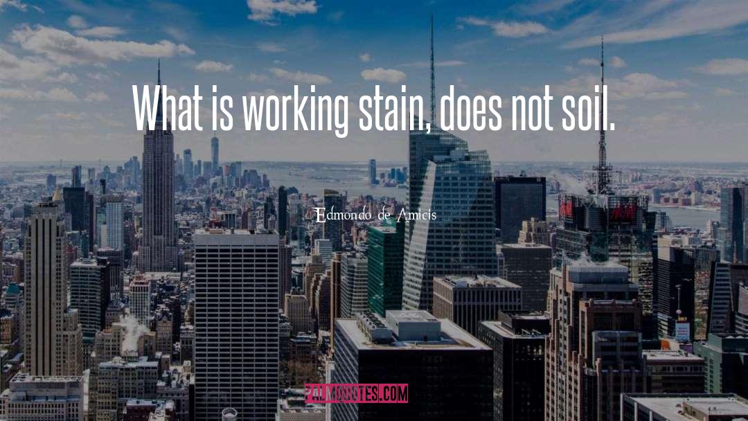 Edmondo De Amicis Quotes: What is working stain, does