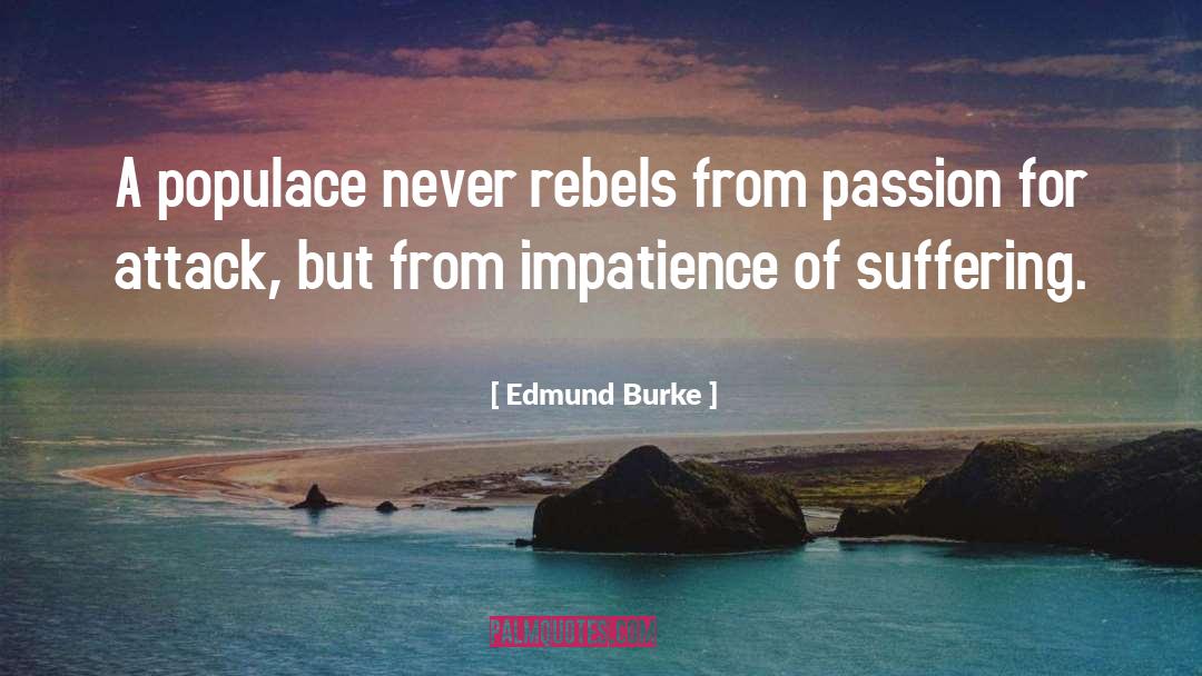 Edmund Burke Quotes: A populace never rebels from