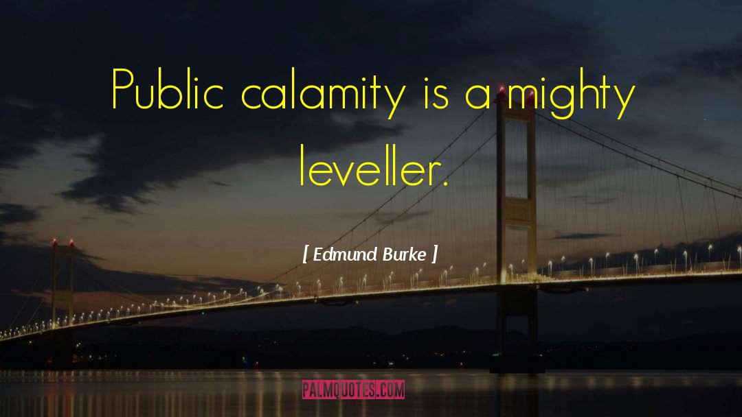 Edmund Burke Quotes: Public calamity is a mighty