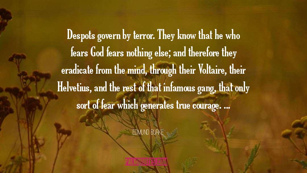 Edmund Burke Quotes: Despots govern by terror. They