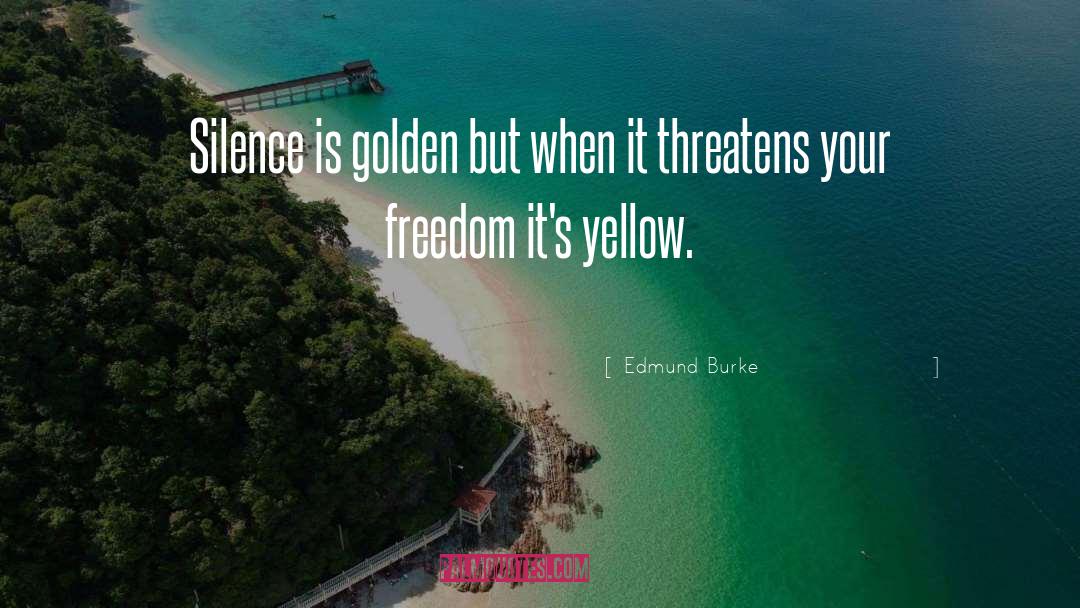 Edmund Burke Quotes: Silence is golden but when