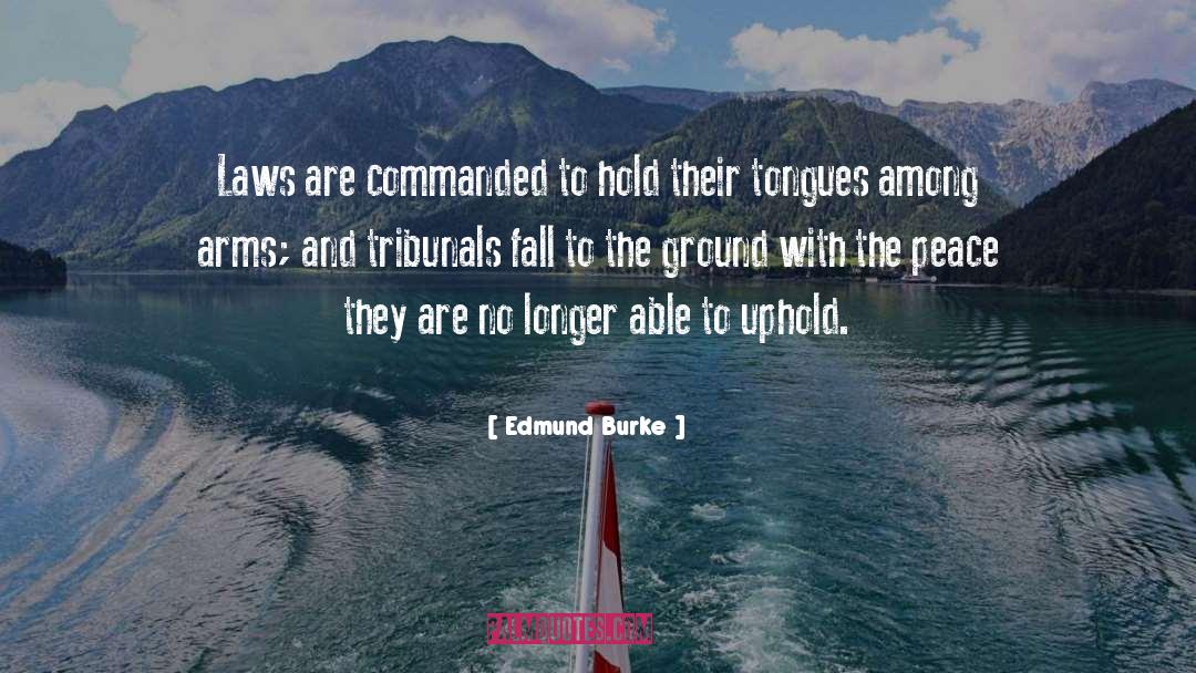 Edmund Burke Quotes: Laws are commanded to hold