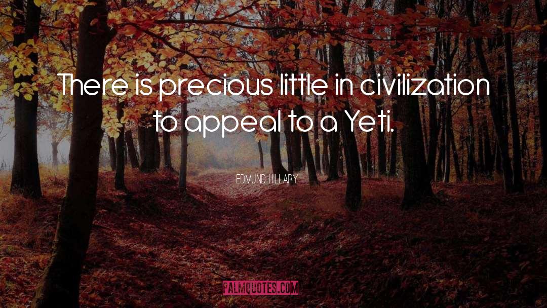 Edmund Hillary Quotes: There is precious little in