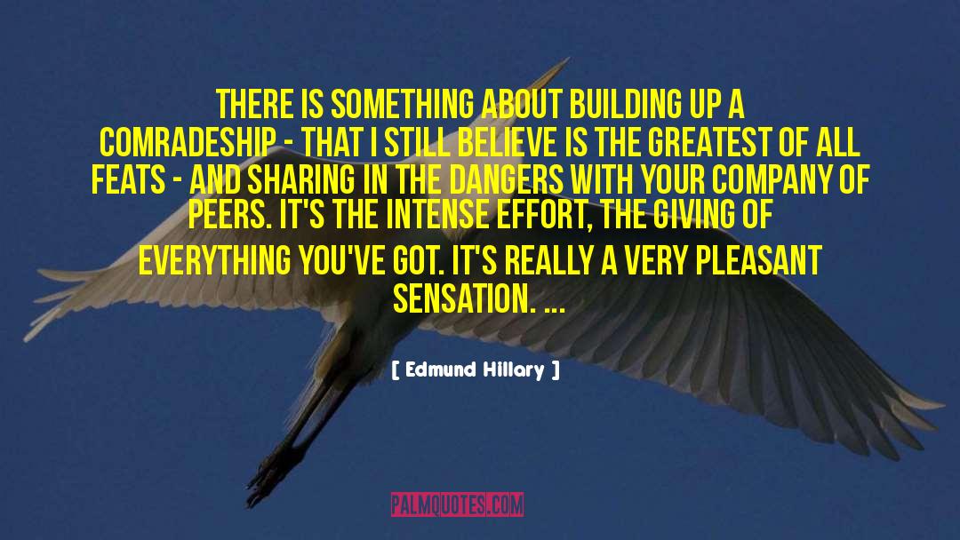 Edmund Hillary Quotes: There is something about building