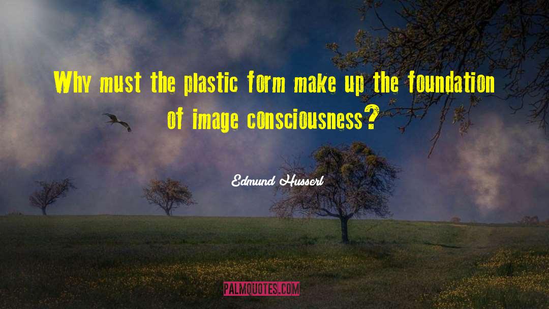 Edmund Husserl Quotes: Why must the plastic form