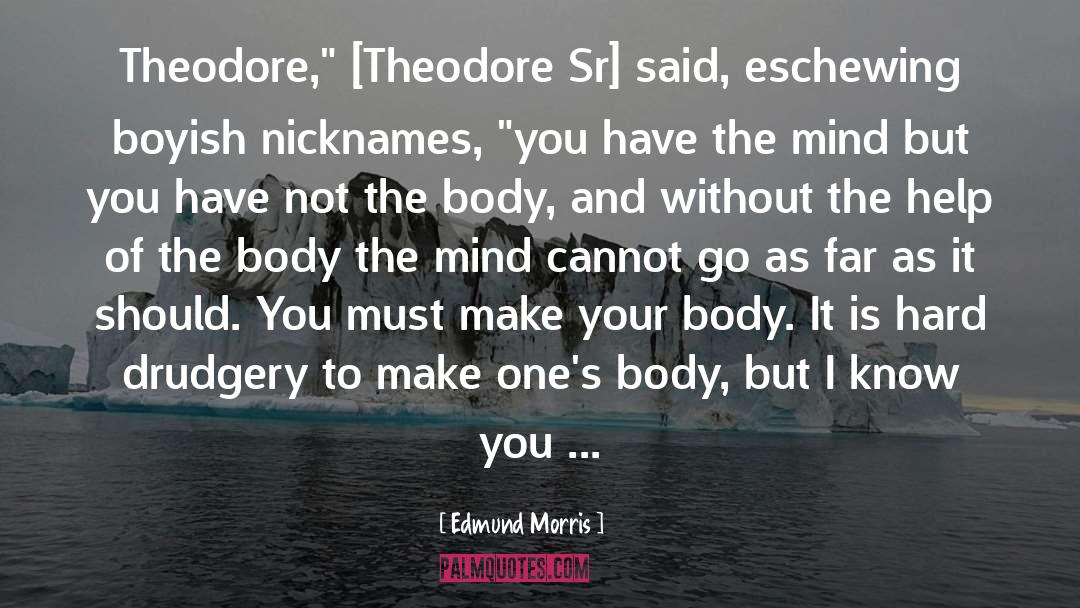 Edmund Morris Quotes: Theodore,