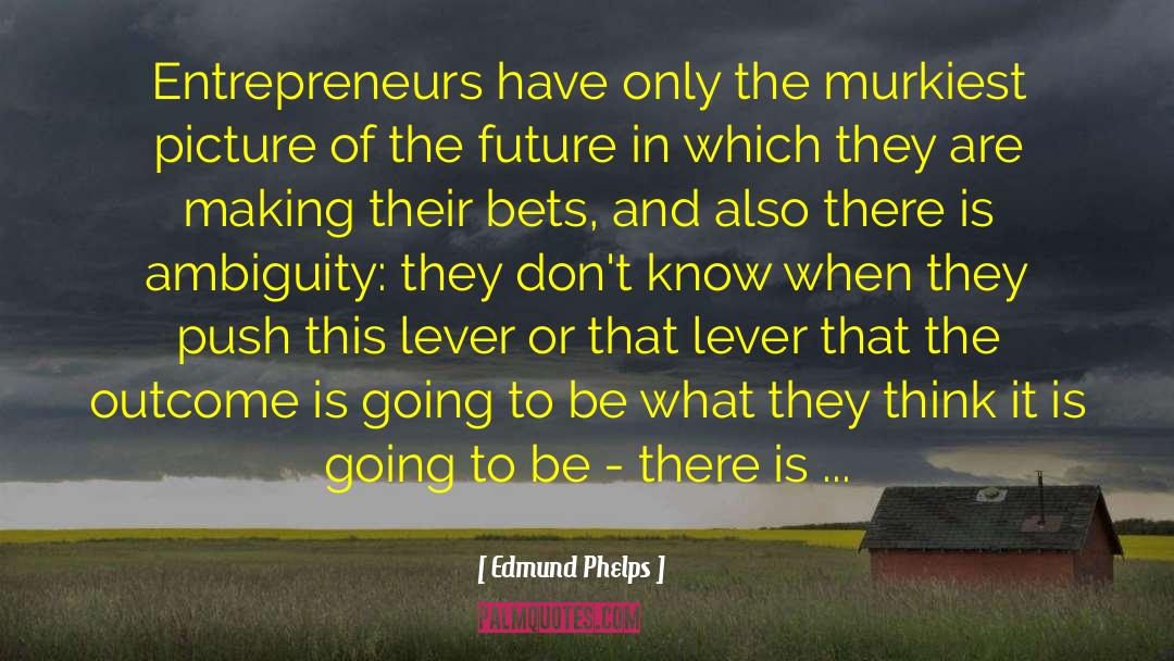 Edmund Phelps Quotes: Entrepreneurs have only the murkiest