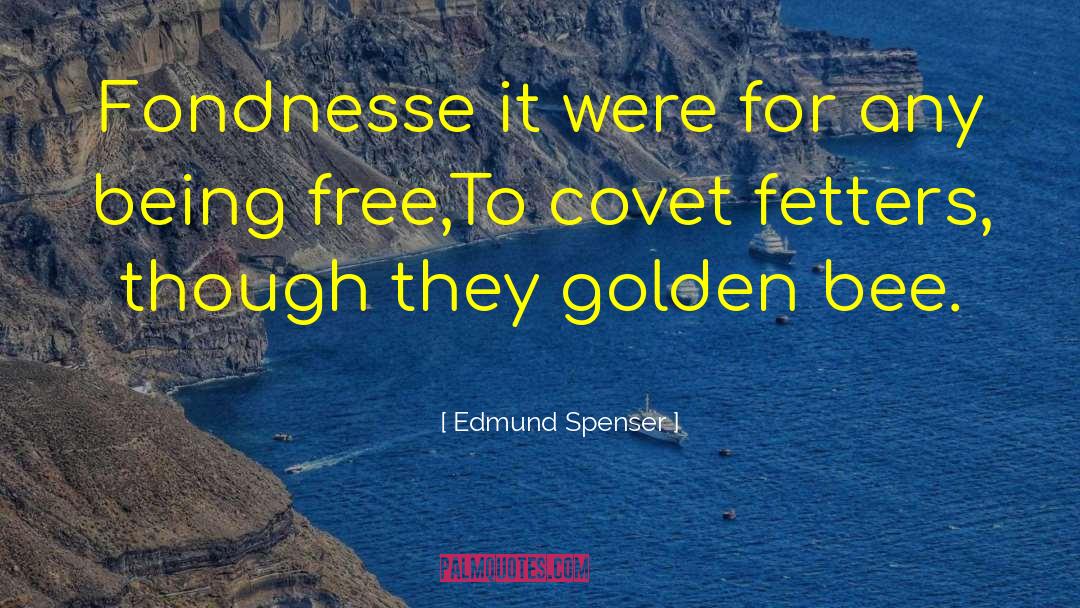 Edmund Spenser Quotes: Fondnesse it were for any