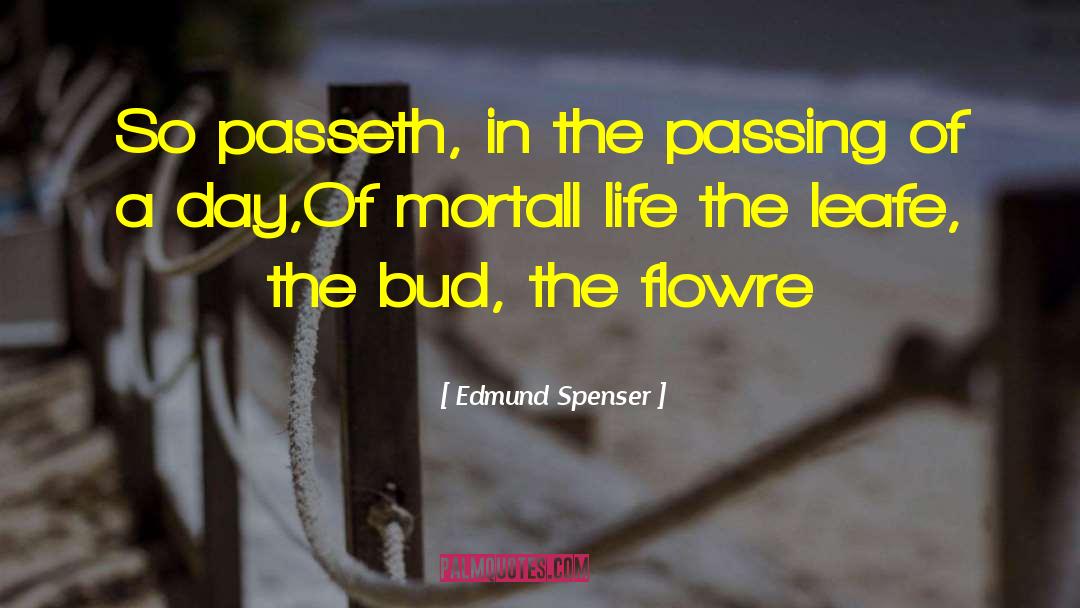 Edmund Spenser Quotes: So passeth, in the passing