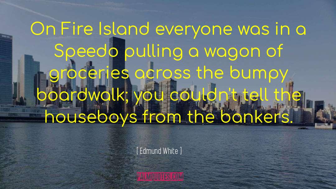 Edmund White Quotes: On Fire Island everyone was