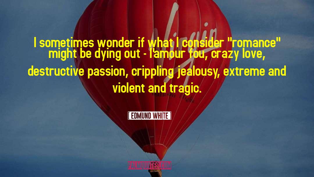 Edmund White Quotes: I sometimes wonder if what