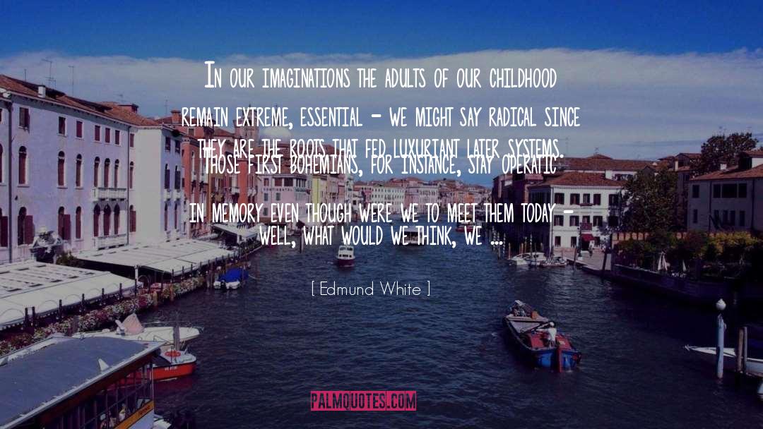 Edmund White Quotes: In our imaginations the adults