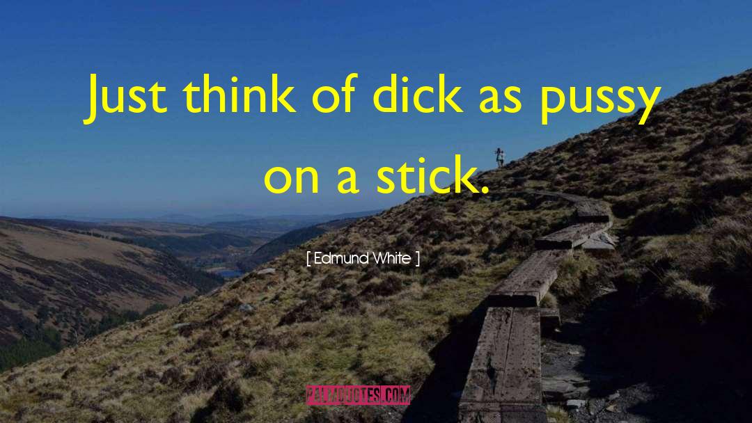 Edmund White Quotes: Just think of dick as