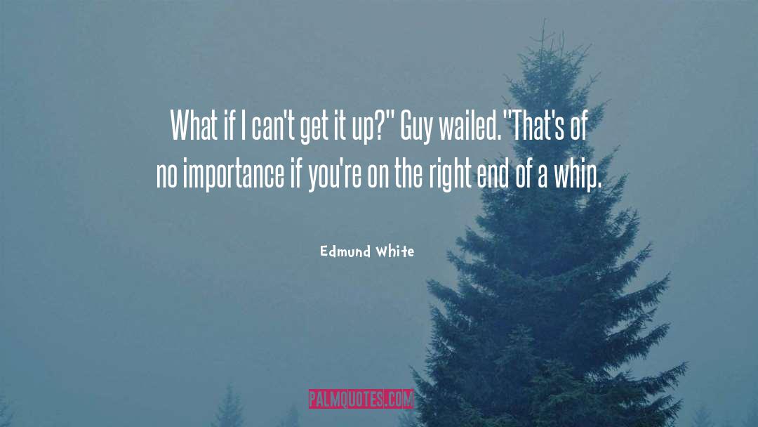 Edmund White Quotes: What if I can't get