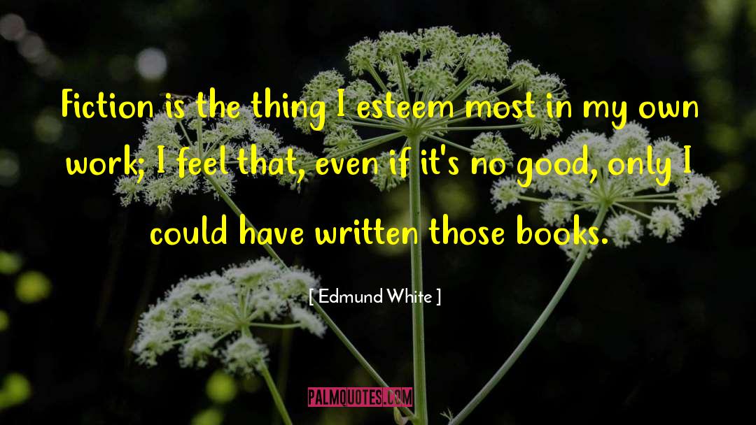 Edmund White Quotes: Fiction is the thing I