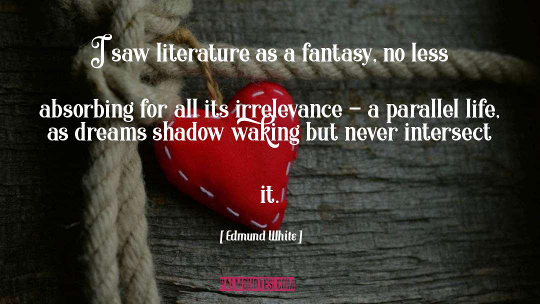 Edmund White Quotes: I saw literature as a