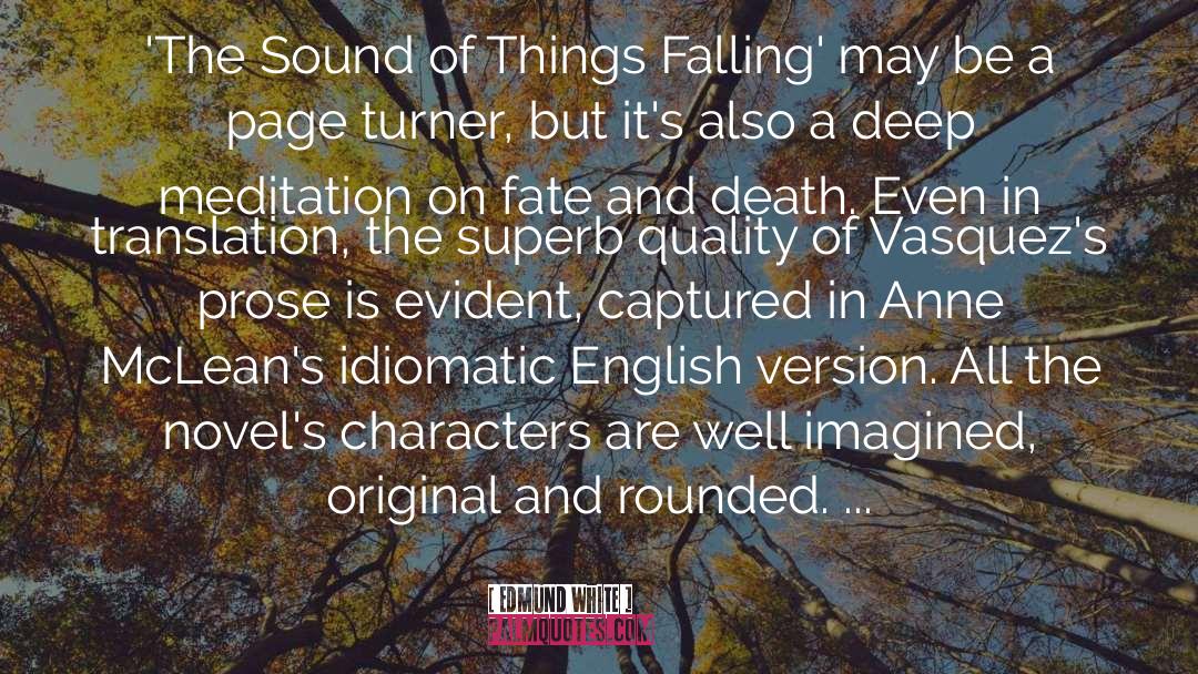 Edmund White Quotes: 'The Sound of Things Falling'