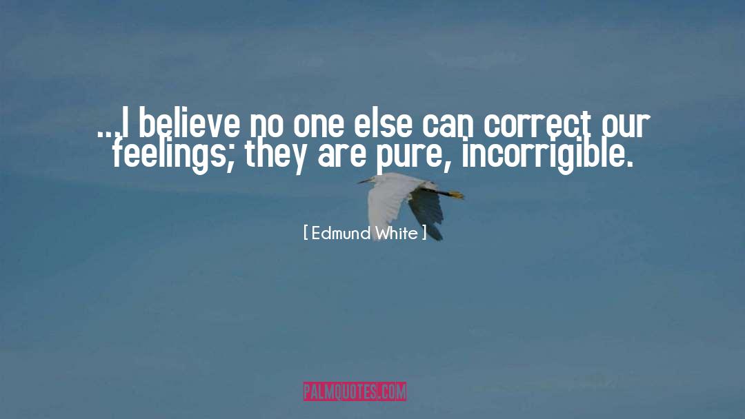 Edmund White Quotes: ...I believe no one else
