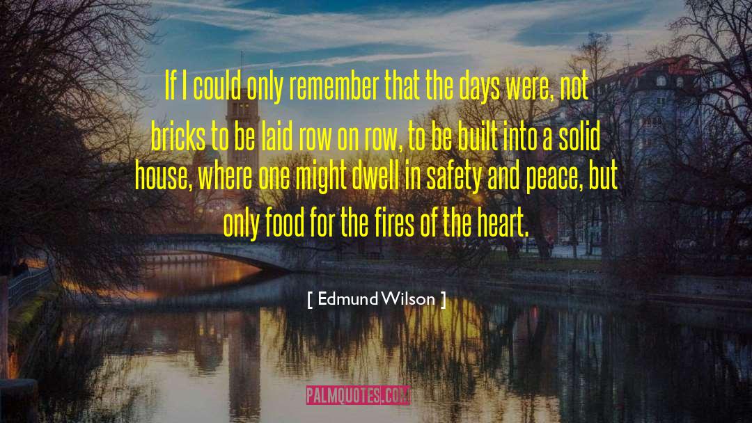 Edmund Wilson Quotes: If I could only remember
