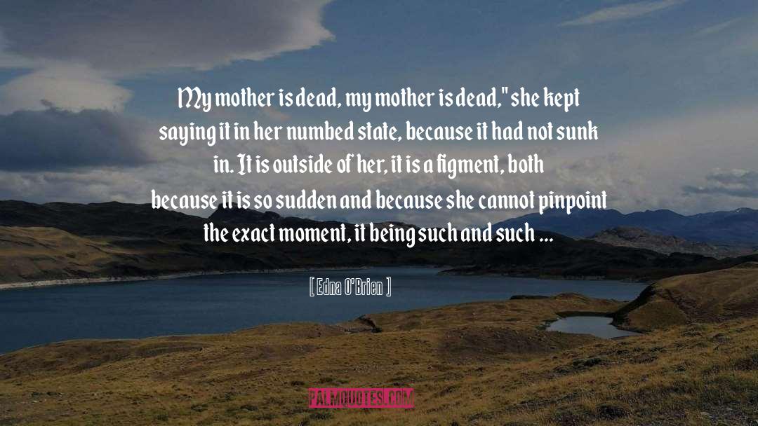 Edna O'Brien Quotes: My mother is dead, my