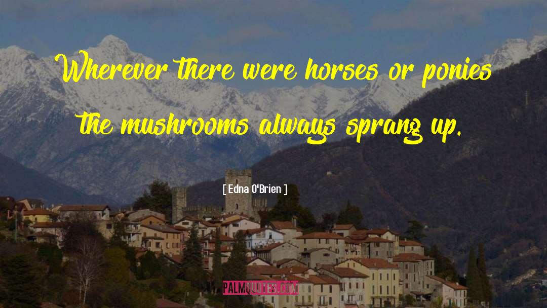 Edna O'Brien Quotes: Wherever there were horses or