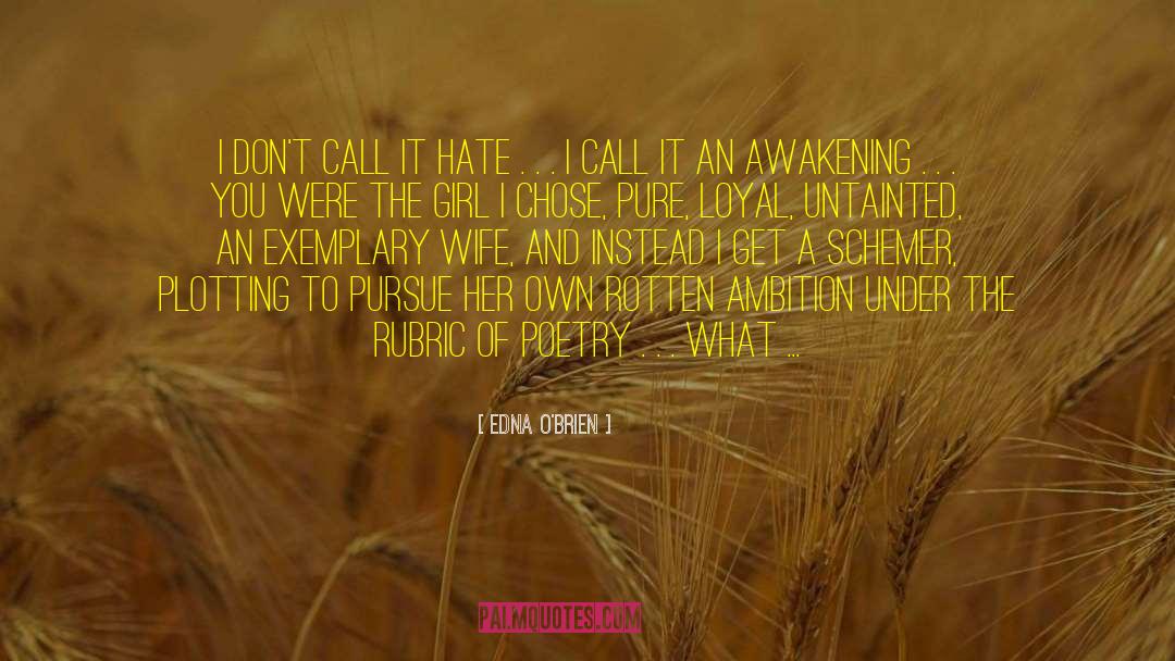 Edna O'Brien Quotes: I don't call it hate