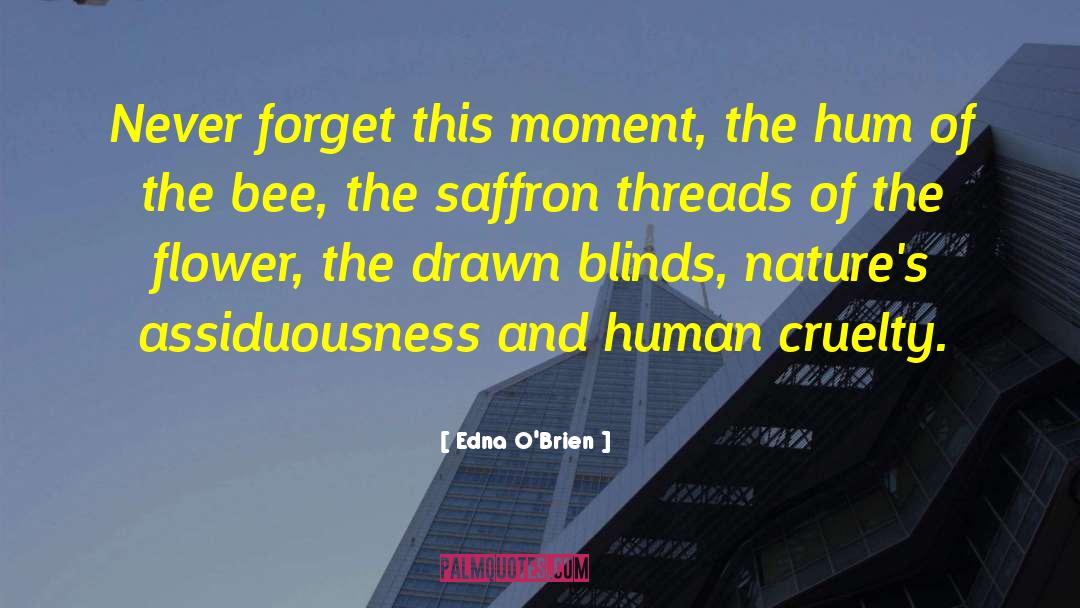 Edna O'Brien Quotes: Never forget this moment, the