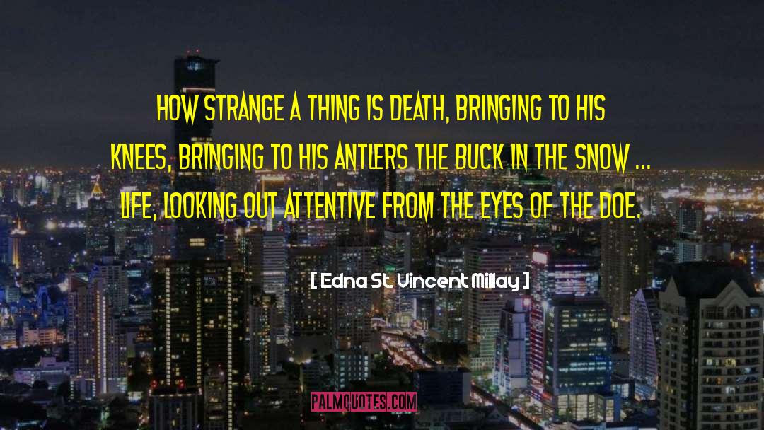 Edna St. Vincent Millay Quotes: How strange a thing is