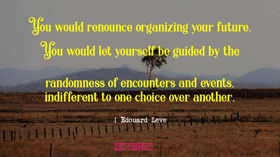 Edouard Leve Quotes: You would renounce organizing your