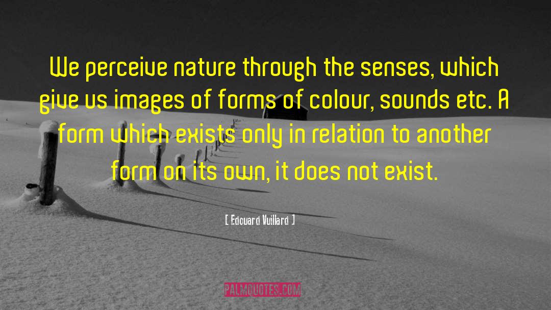 Edouard Vuillard Quotes: We perceive nature through the
