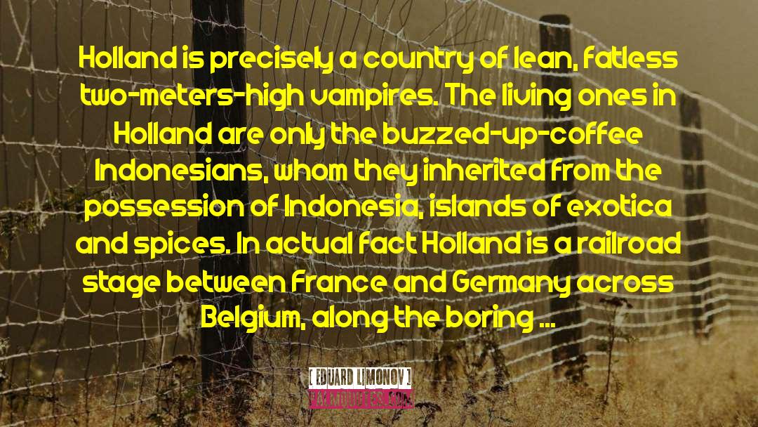 Eduard Limonov Quotes: Holland is precisely a country