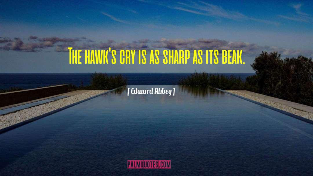 Edward Abbey Quotes: The hawk's cry is as