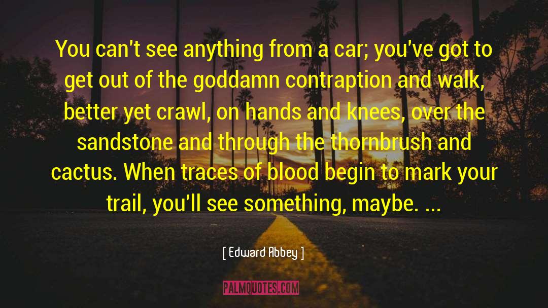 Edward Abbey Quotes: You can't see anything from
