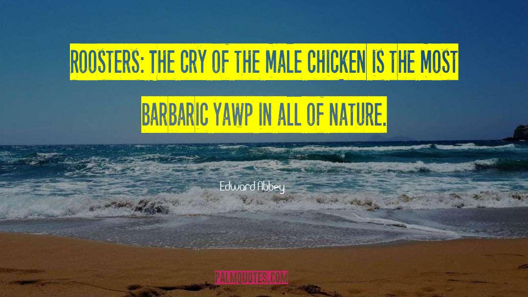 Edward Abbey Quotes: Roosters: The cry of the