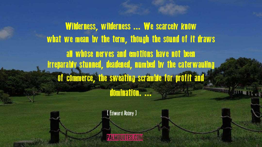 Edward Abbey Quotes: Wilderness, wilderness ... We scarcely